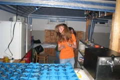 dorffest2010-002-small