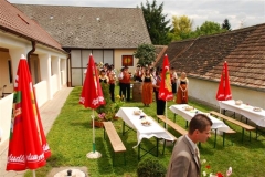 Niedersulz